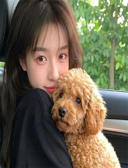 蓝光原盘：千年陕菜场景布置热门分析：环境设计与主题呼应探讨